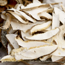 Air Dried Mushroom Slice Supplier